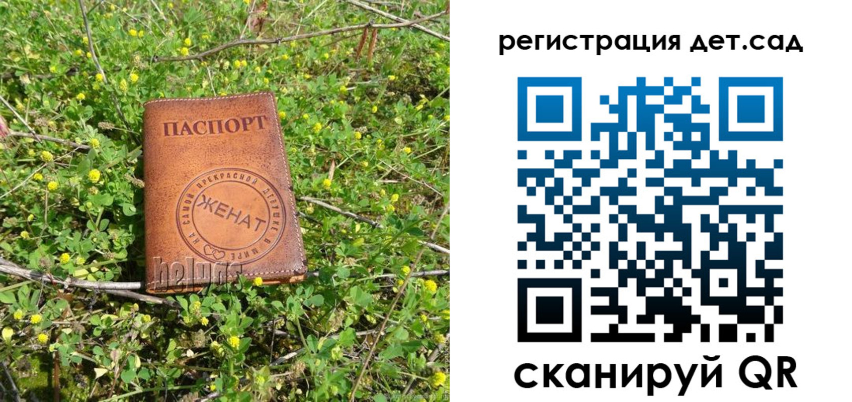 временная регистрация надежно в Светлом